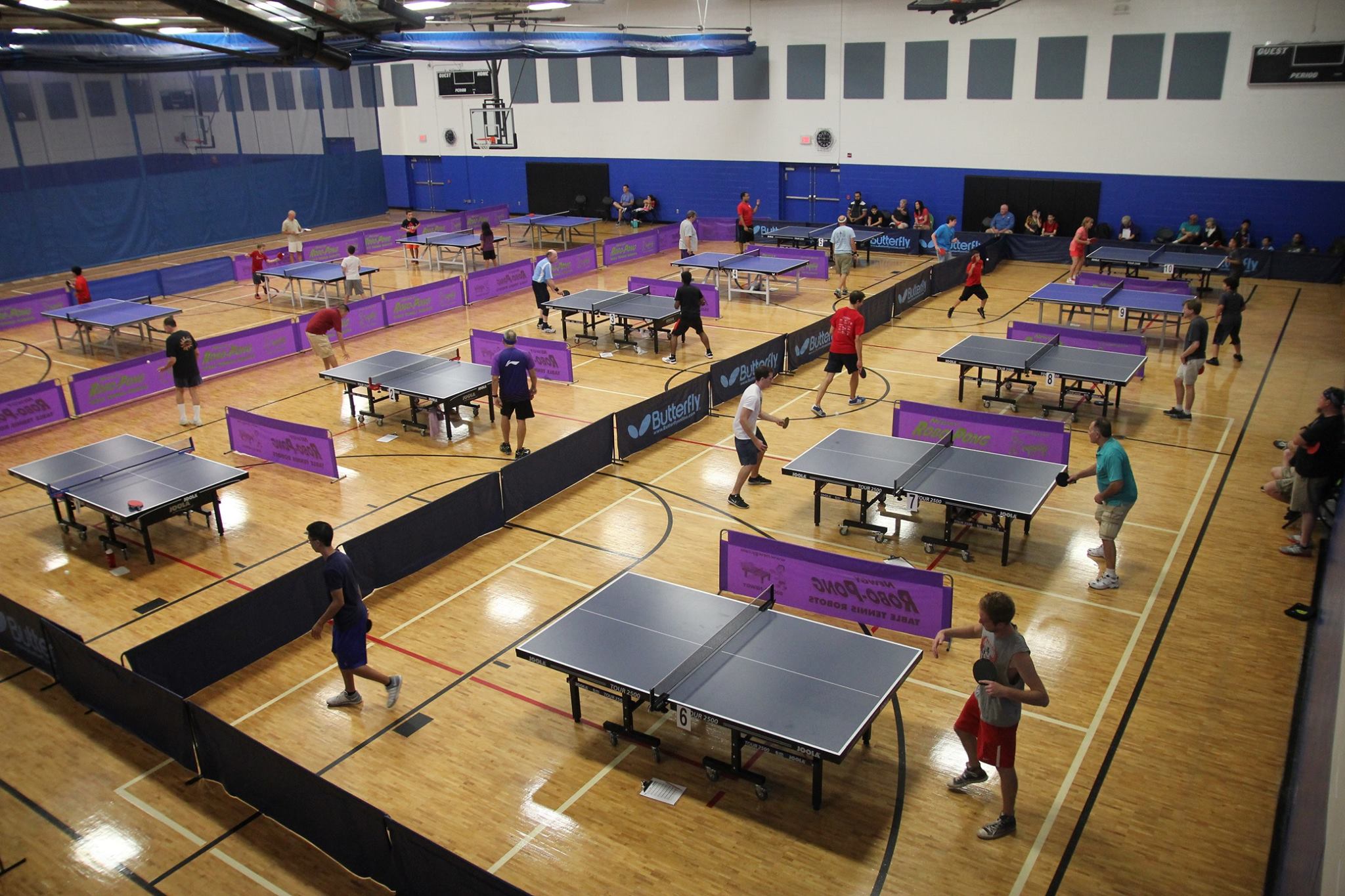 Sunrise Table Tennis,,
