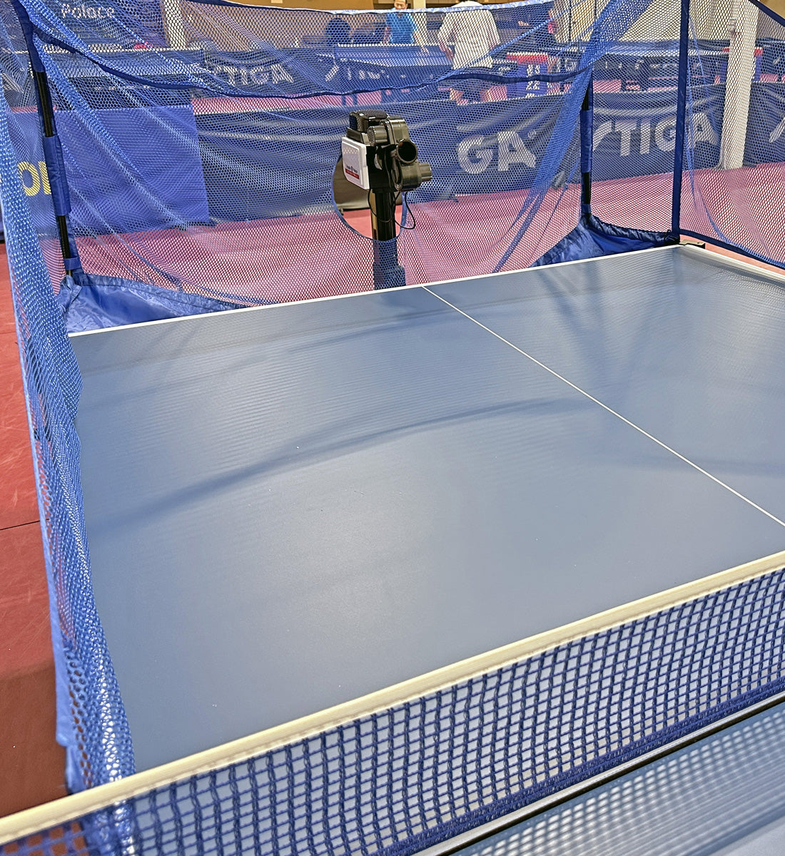 Paddle Palace X2W Rally Pro Robot